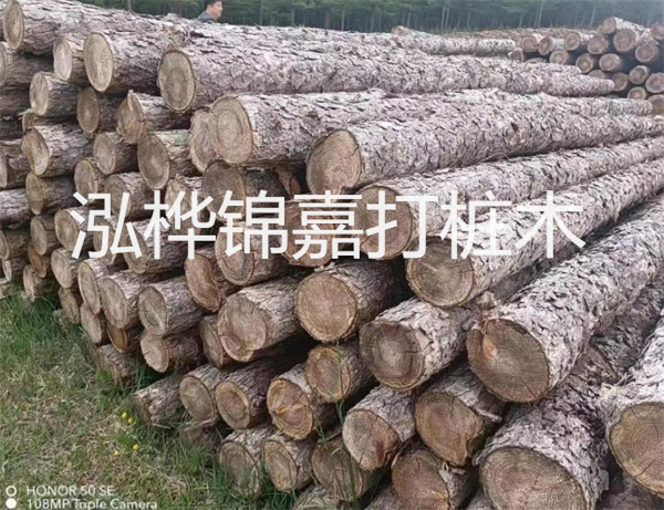 高效修補，保駕護航！水泥路面高強度修補料為您解決煩惱！
