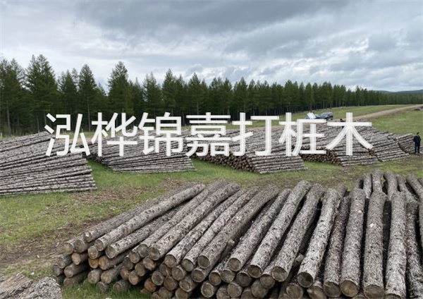 鋼結構施工方案大全免費提供，助力工程建設