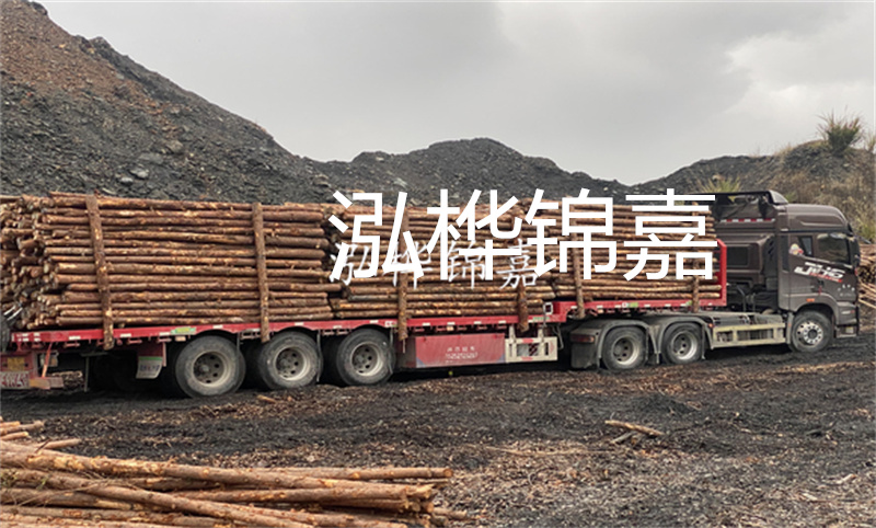 挑選高質(zhì)原料，附近的杉木原木批發(fā)等您來(lái)選購(gòu)