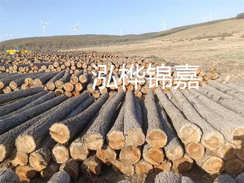 了解杉木樁規(guī)格和價(jià)格，選擇合適的建筑材料